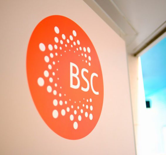 BSC logo on a school wall