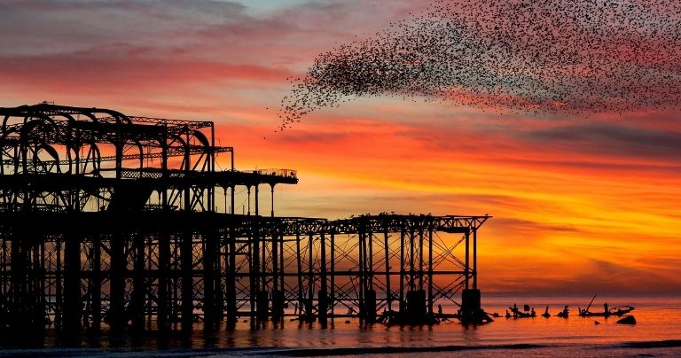 Sunset over Brighton West Pier