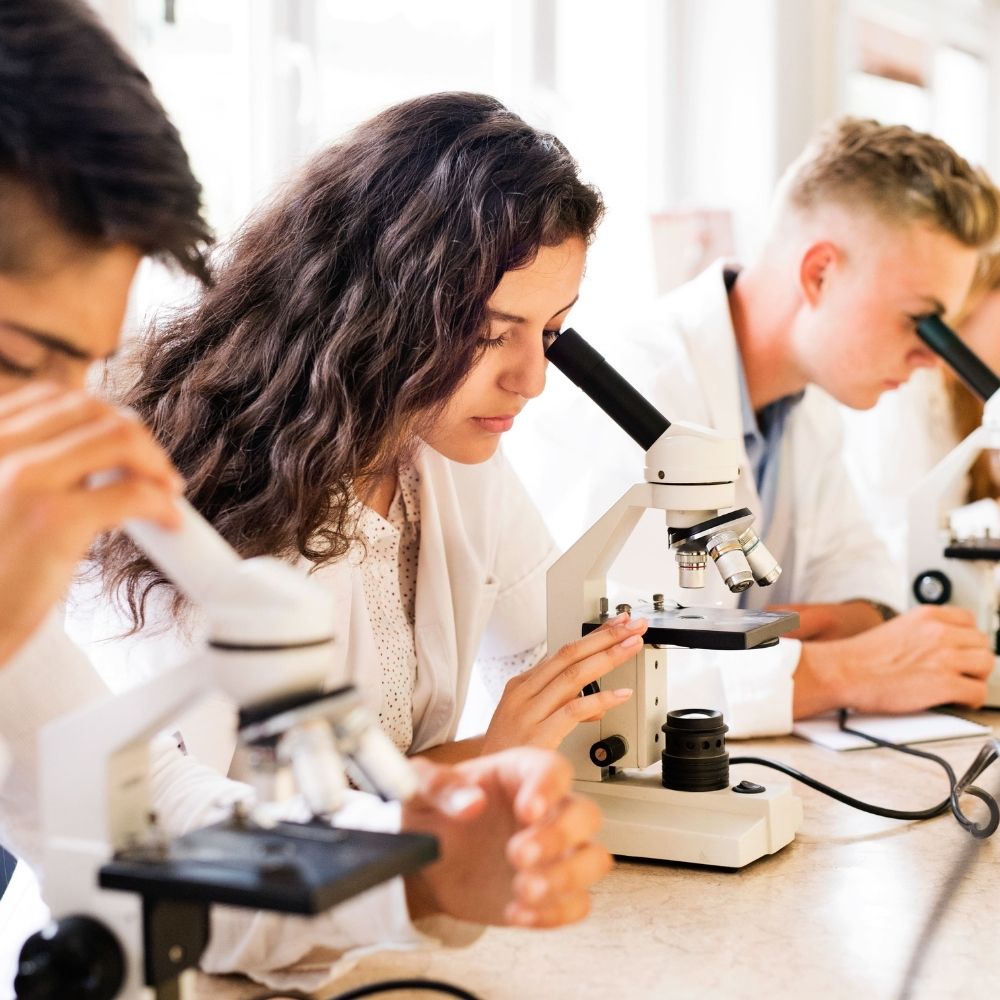 Three students on an English plus STEM course with microscopes